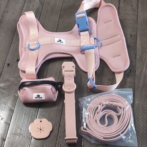 5pc Dog Harness Set